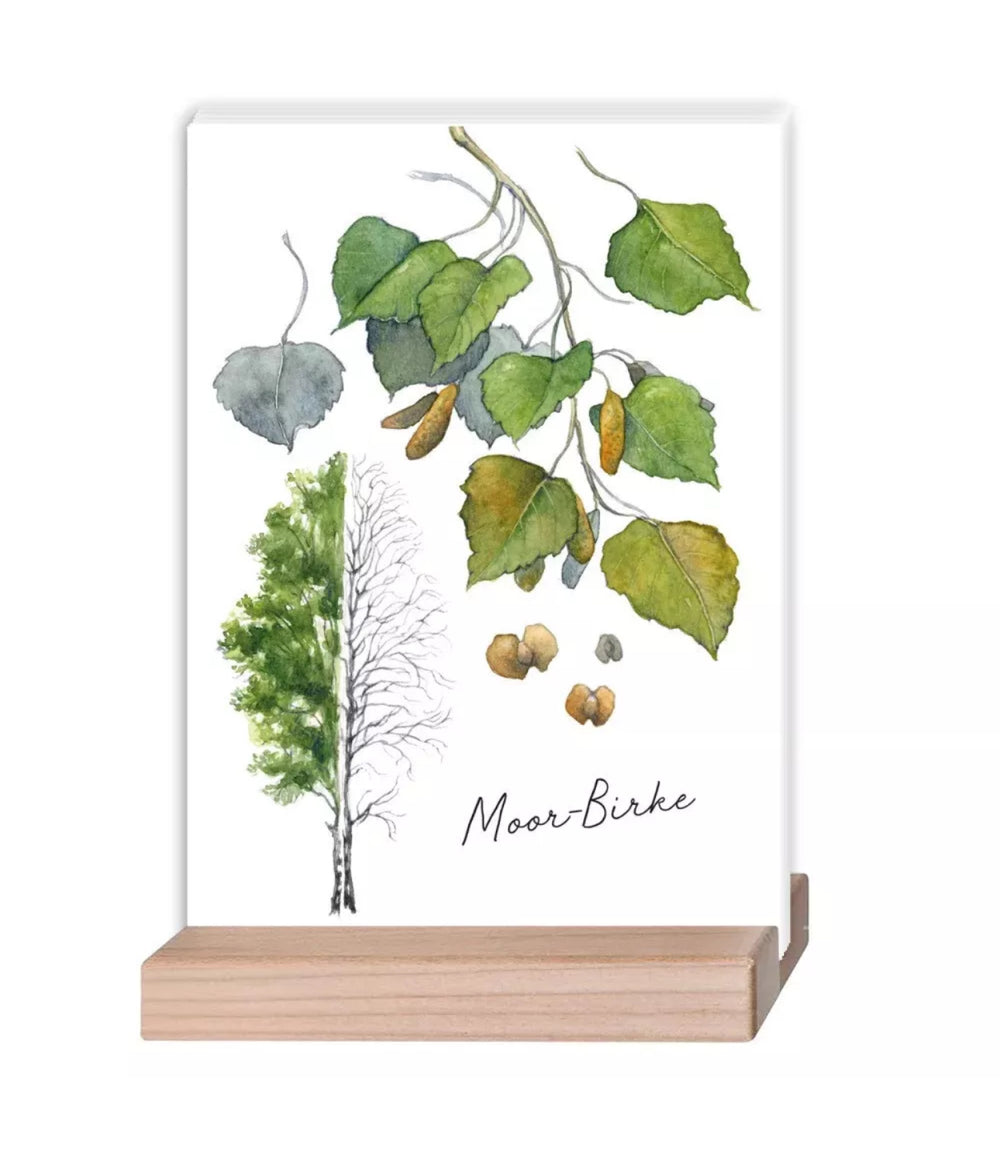 Kartenset Laubbäume & Waldbewohner mit Holzständer