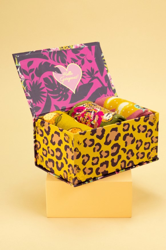 Fairy Socks in a Box -Leo-