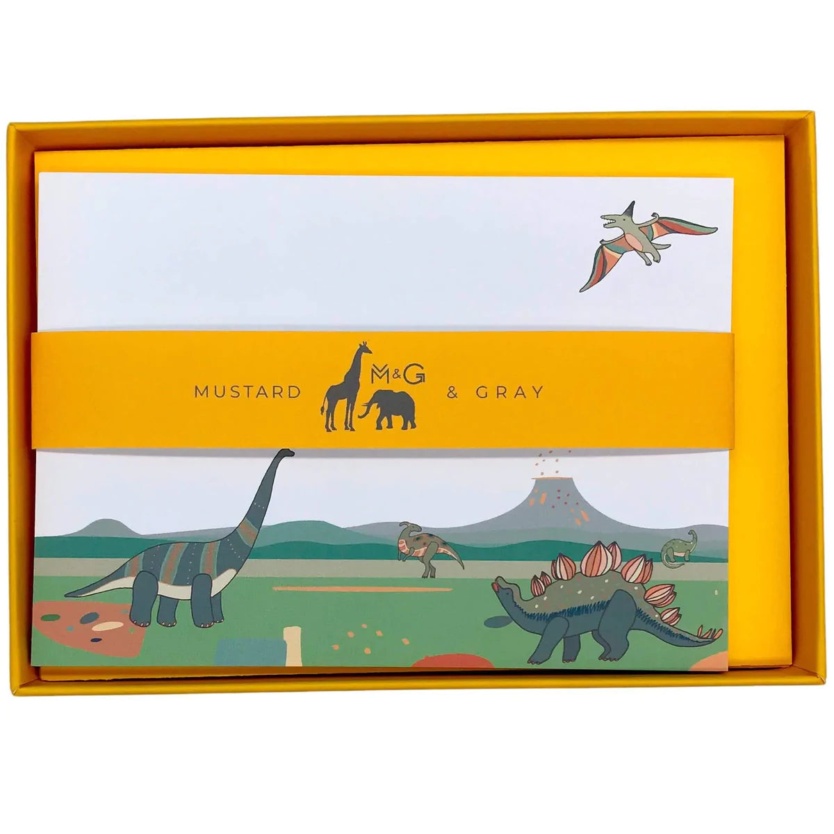 Luxus Kartenset KIDS Dino