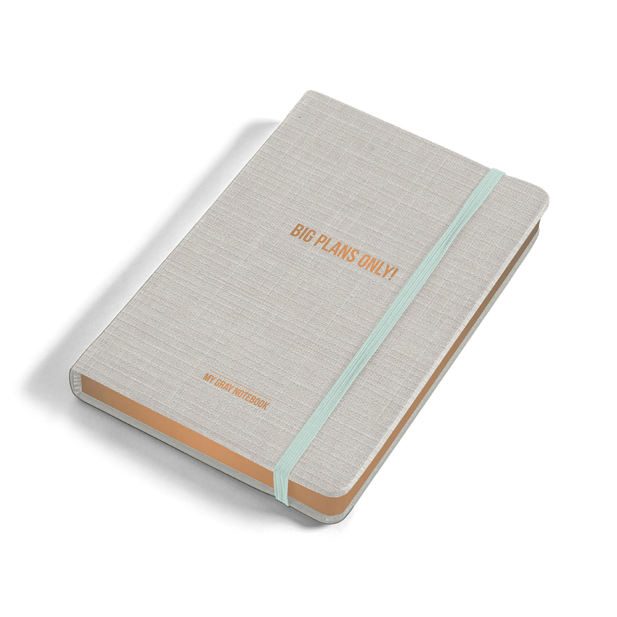 Notizbuch gebunden -Big Plans only-