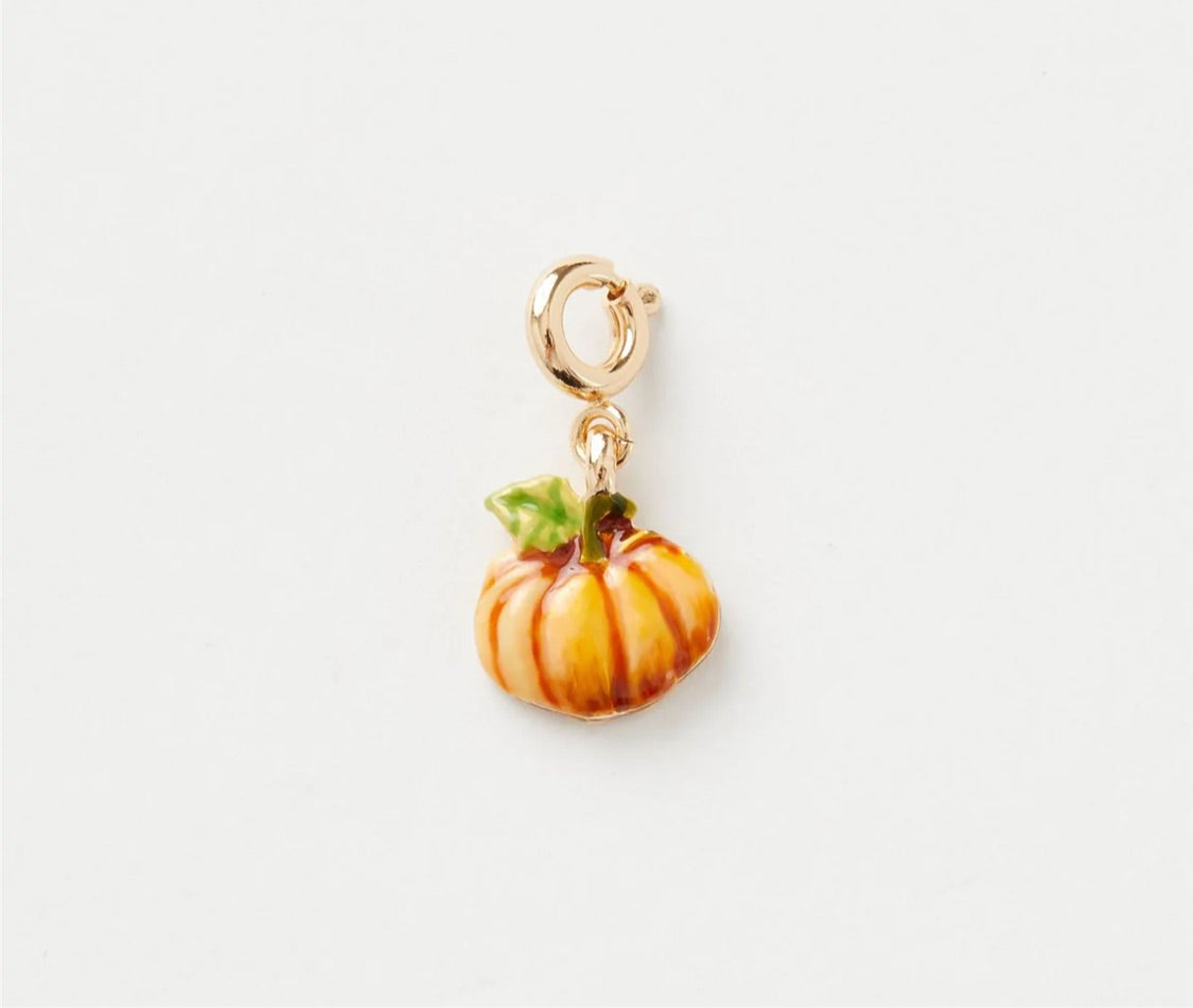 Kürbis Charm